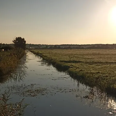 Goscinne Dominik Ostrowo