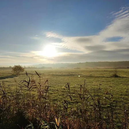 Homestay szállás Goscinne Dominik Ostrowo